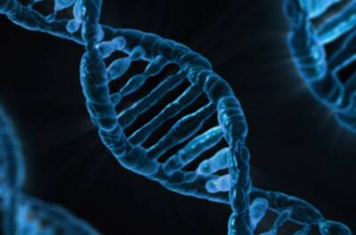 Ученые: Доказательства участия инопланетян в появлении человека нужно искать в его ДНК
