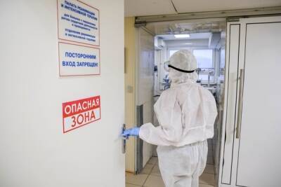 В России выявлен новый максимум смертей от коронавируса
