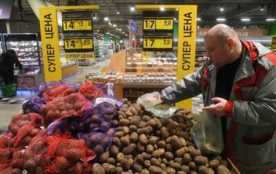 Производители рассказали об обеспеченности России собственной картошкой до марта 2022 года
