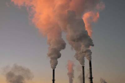 Загрязнение воздуха увеличивает риск заболевания COVID-19 - исследование и мира