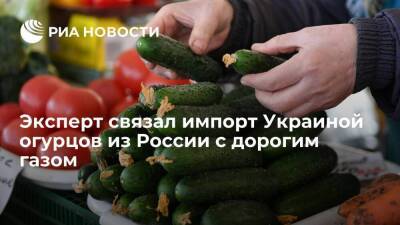 Эксперт Глушков связал импорт Украиной огурцов из России с дорогим газом
