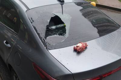 Житель Мурино разбил машину куском мяса