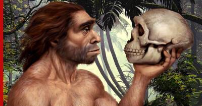 Названа основная версия исчезновения неандертальцев