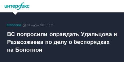 ВС попросили оправдать Удальцова и Развозжаева по делу о беспорядках на Болотной