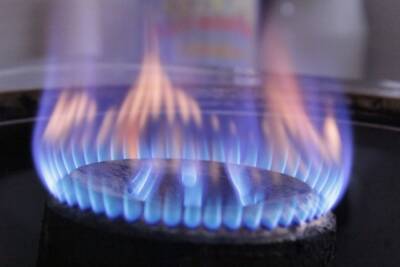 В Пензе пройдут дополнительные проверки газового оборудования в домах
