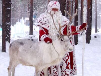 Российский Дед Мороз отмечает день рождения