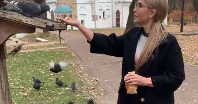 Кормила с руки на камеру: Тимошенко в Чернигове уделила внимание голубям (ВИДЕО)