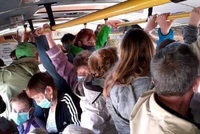 Вице-спикер Архгордумы сообщил о грядущей цене на автобус – это шок