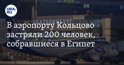 В аэропорту Кольцово застряли 200 человек, собравшиеся в Египет