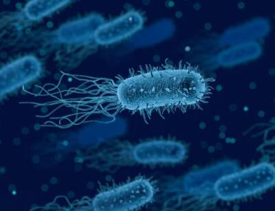 Ученые: При определенных условиях бактерии перестают реагировать на антибиотики