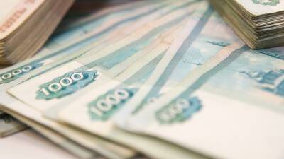 Путин: В 2022 году МРОТ вырастет до 13 890 рублей