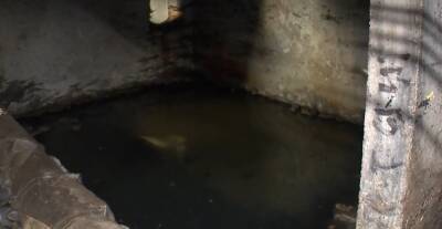 «Все ароматы Франции у нас в подвале»: десятки домов в Кингисеппе затопило нечистотами