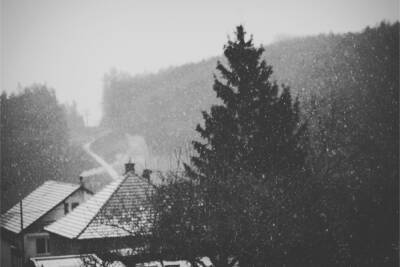 В Ленобласти ожидается снег с дождем и сильный ветер 19 ноября