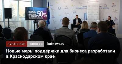 Новые меры поддержки для бизнеса разработали в Краснодарском крае