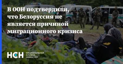 В ООН подтвердили, что Белоруссия не является причиной миграционного кризиса
