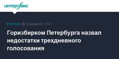 Горизбирком Петербурга назвал недостатки трехдневного голосования