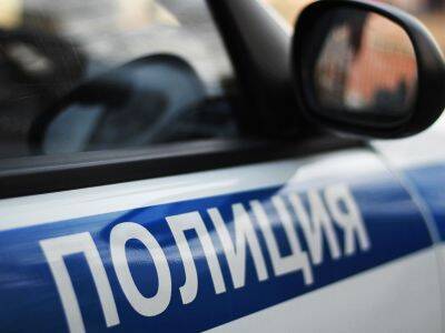В Петербурге полицейские с применением силы задержали подростка за переход дороги в неположенном месте