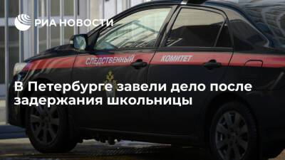 В Петербурге завели дело о превышении полномочий после задержания школьницы