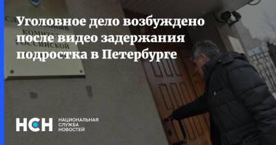 Уголовное дело возбуждено после видео задержания подростка в Петербурге