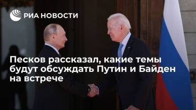 Песков: Украина и НАТО станут темами обсуждения на онлайн-встрече Путина и Байдена