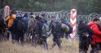 Группа мигрантов задержана при попытке прорваться в Польшу из Беларуси