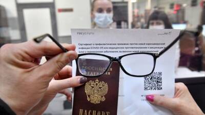 Алексей Мартынов - QR-коды в России могут стать вторыми паспортами - 5-tv.ru - Россия - Израиль