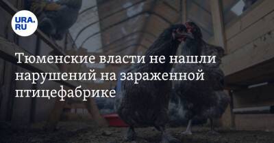 Тюменские власти не нашли нарушений на зараженной птицефабрике