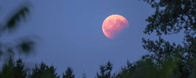 Россияне 19 ноября увидят самое продолжительное за 500 лет лунное затмение