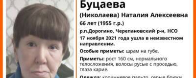 В Новосибирской области в посёлке Дорогино пропала 66-летняя Наталия Буцаева