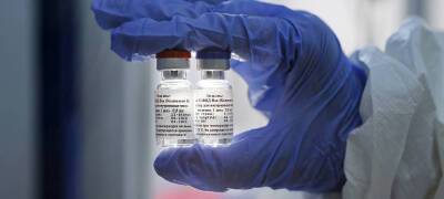 Эксперт назвал условия, при которых иностранные вакцины могут появиться в России
