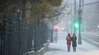 Синоптики рассказали москвичам о погоде 19 ноября