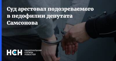 Суд арестовал подозреваемого в педофилии депутата Самсонова