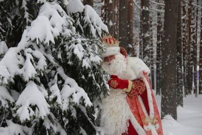 Костромичи и вологодцы отметили день рождения Деда Мороза