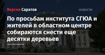 По просьбам института СГЮА и жителей в областном центре собираются снести еще десятки деревьев