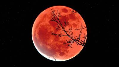 19 ноября совпадут лунное затмение и полнолуние: что обязательно нужно сделать в этот день