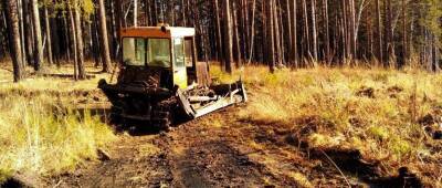 В иркутских лесах обновили 157 километров противопожарных полос