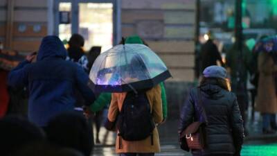 Жителей Петербурга ожидает облачная погода с короткими дождями 19 ноября