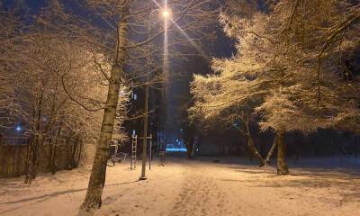 МЧС Карелии предупреждает об опасном мокром снеге