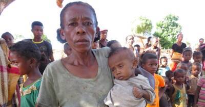 Едят кактусы и саранчу. Более миллиона человек в Мадагаскаре голодают