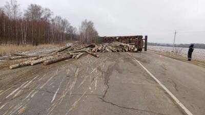 В Рязанской области на дороге Сасово – Кадом перевернулся груженый лесовоз