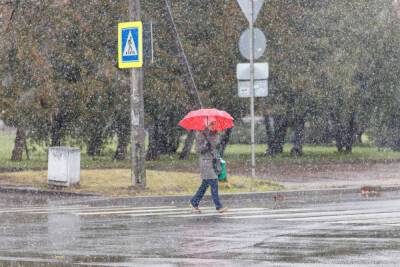 Псковичам объявили об аномальном снегопаде из-за прихода циклона «Ульрих»