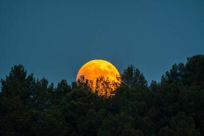 Красное лунное затмение 19 ноября станет самым продолжительным с XV века