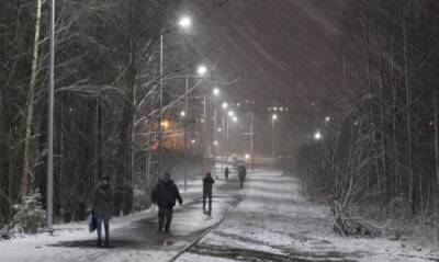 В Петрозаводске установят сотни новых фонарей в разных районах