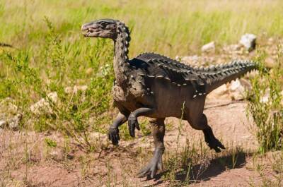 В Бразилии ученые открыли новый вид динозавра, не имевшего зубов