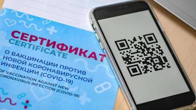 Стало известно, куда в Петербурге не пустят без QR-кодов с 1 декабря