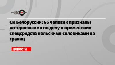 СК Белоруссии: 65 человек признаны потерпевшими по делу о применении спецсредств польскими силовиками на границ