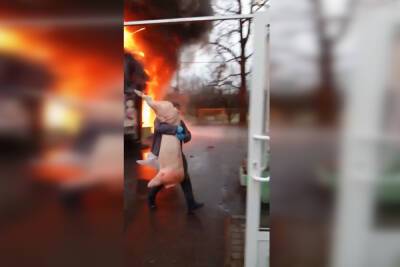 Битва продавцов из деревни Юкки с огнем за свиные туши попала на видео