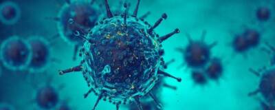Spectator: Ученые нашли доказательства утечки коронавируса из лаборатории Уханя