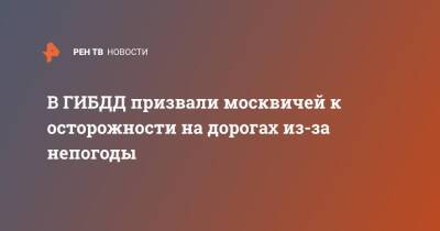 В ГИБДД призвали москвичей к осторожности на дорогах из-за непогоды