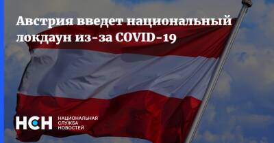 Австрия введет национальный локдаун из-за COVID-19